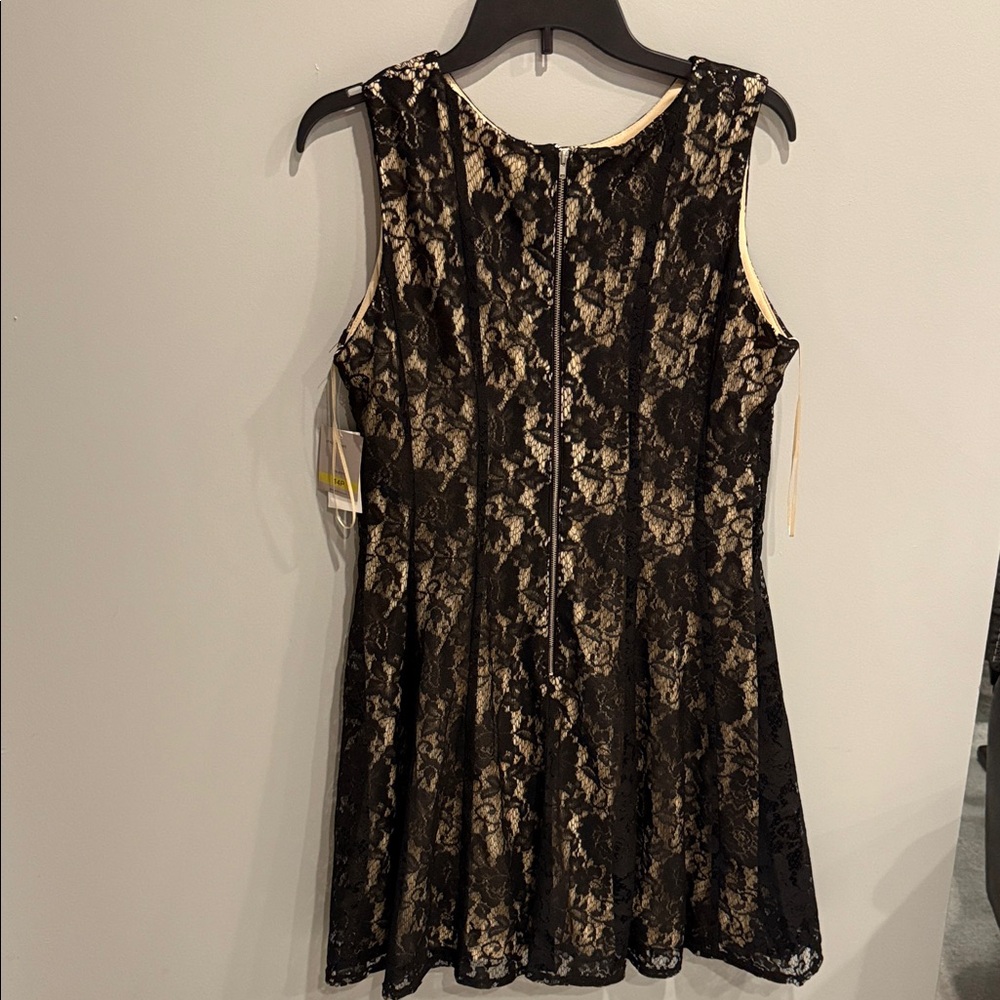 Sleeveless Black Lace Overlay Dress with Nude Lining - Picture 4 of 6